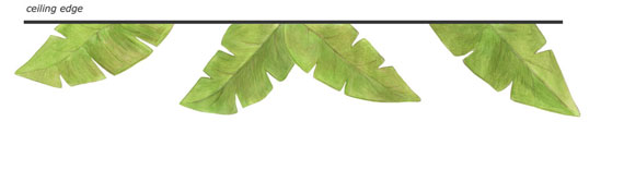 Banana Leaves Decals - Wall Border