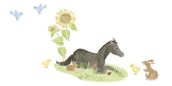 Horse Wall Decals