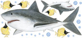 Great White Sharks