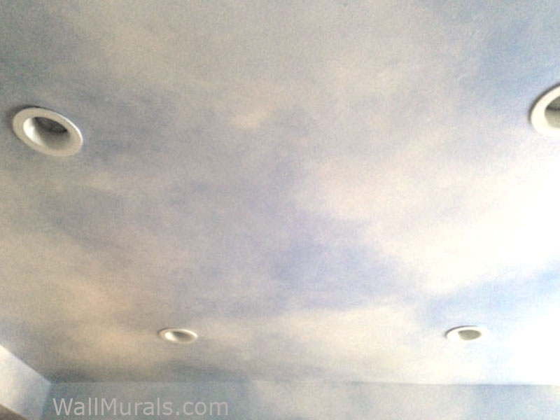 Kitchen Ceiling Painted To Look Like The Sky Wall Murals By