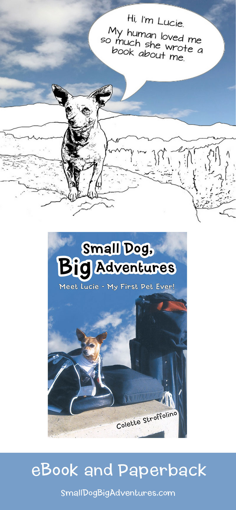 Memoir of a well loved dog