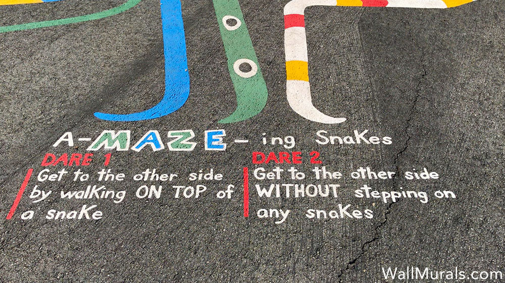 Painted Playground Games - Snake Maze Instructions